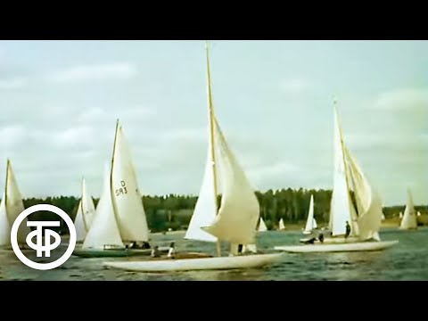 Видео: Начинается осень. Подмосковье (1968)