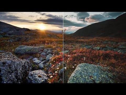 Видео: Обработка СТАРОЙ фотографии в НОВОМ стиле | Цветокоррекция в Adobe Lightroom