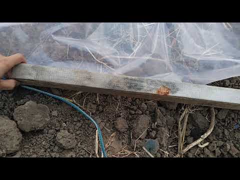 Видео: Быстрый и надёжный способ натяжки пленки на теплицу