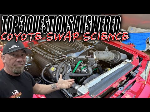 Видео: Перед тем, как совершить обмен // ОТВЕТЫ НА ТРИ ОСНОВНЫХ ВОПРОСА ОБ ОБМЕНЕ КОЙОТАМИ!