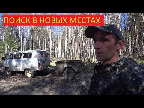 Видео: ХОЖУ В ПОИСКАХ МЕТАЛЛОЛОМА ПО НОВЫМ И СТАРЫМ ЛЕСНЫМ ВЫРУБАМ! (ВИДЕО ИЗ АРХИВА 20.05.2024)