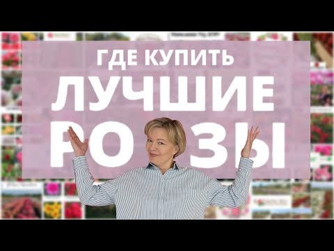 Видео: ЛУЧШИЕ ПИТОМНИКИ РОЗ! 🔥Народный рейтинг РОЗАНОСТРЫ!😎🌹 1 часть. 24 февраля 2024 г.