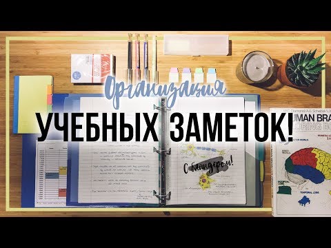 Видео: КАК Я ВЕДУ КОНСПЕКТЫ В УНИВЕРСИТЕТЕ!