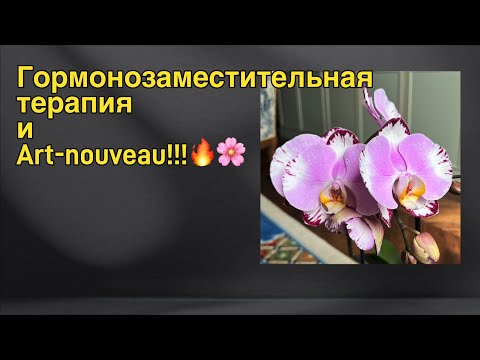 Видео: Грандифлора в интерьере | Сохранение молодости