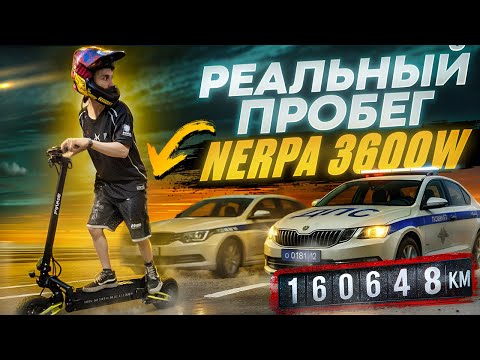 Видео: СТАНЧУ и ВЫСАЖИВАЮ ЭЛЕКТРОСАМОКАТ NERPA PRO 3600W | White siberia nerpa