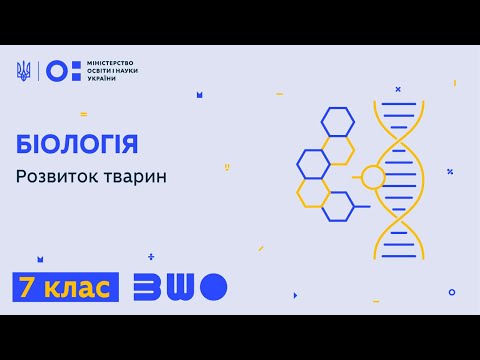 Видео: 7 клас. Біологія. Розвиток тварин