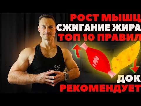 Видео: Набрать мышцы и сжечь жир. ТОП 10 правил. ДОК рекомендует.