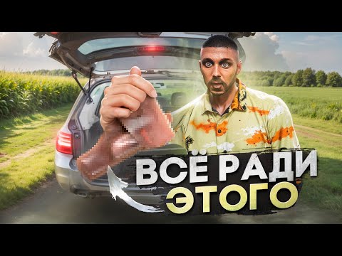 Видео: ВЫКУПИЛ ВСЕ АВТО НА СЕРВЕРЕ РАДИ... GTA 5 RP MAJESTIC