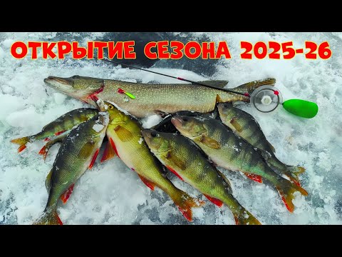 Видео: Открытие сезона зимней рыбалки. 