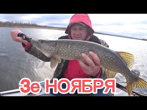 Видео: Ловля щуки🎣Дикий холод 🥶