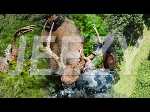 Видео: Открытие недели ГИГАНТ! | Охота с луком НАЧАЛО СЕЗОНА Белохвостые олени