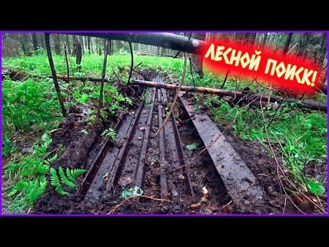 Видео: КРАСОТА!!! УСПЕШНЫЙ ВЫЕЗД В ЛЕС НА ПОИСКИ МЕТАЛЛОЛОМА!!!