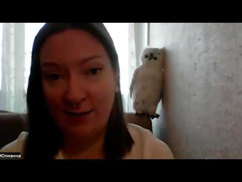 Видео: Замуж за иностранца- нарцисса(интервью)#нарциссизм #созависимость #знакомства