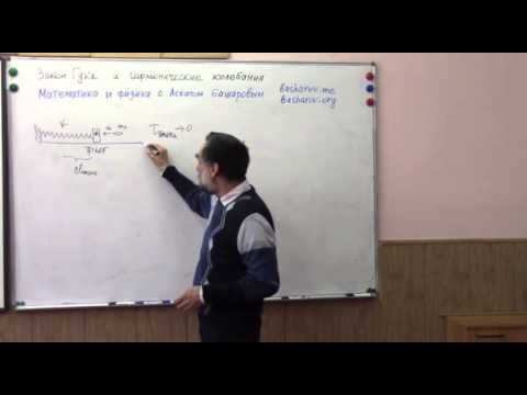 Видео: Стандартная задача по механике