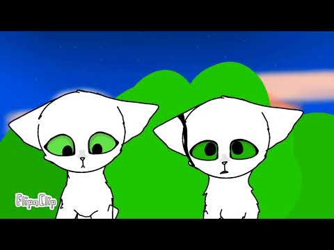 Видео: Бесстрашные Коты. 1 Серия: Пятнышко