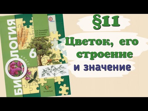 Видео: Краткий пересказ §11 Цветок, его строение и значение. Биология 6 класс Пономарёва