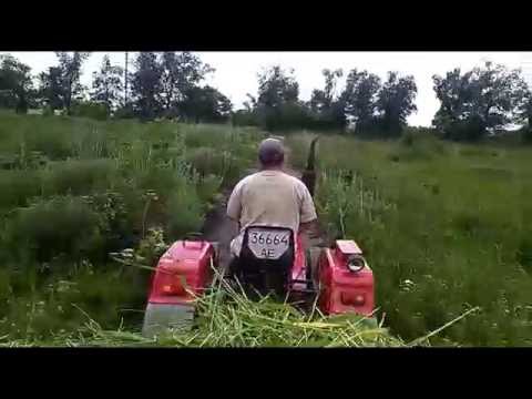 Видео: мини трактор sf 244  возим сено