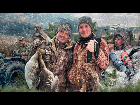 Видео: «Охота на гуся в Архангельской области», часть 2