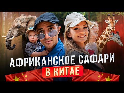 Видео: Сафари парк в Китае о котором все молчат | Хучжоу - африканское сафари в центре Поднебесной 