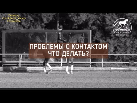 Видео: Контакт со ртом лошади. Проблемы и решения