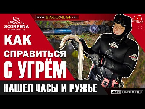 Видео: Как бороться с крупным угрём.Нашел дорогие часы и ружье под водой на подводной охоте