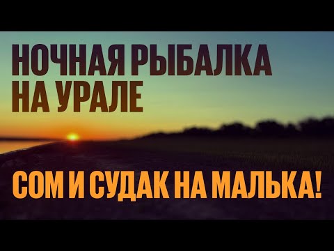 Видео: Ночная рыбалка на Урале: Сом и Судак на малька!