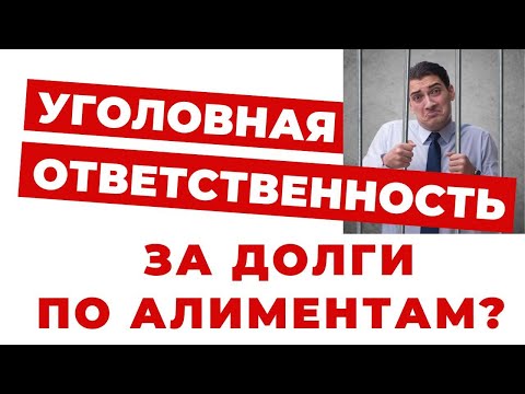 Видео: ✔️Могут ли Посадить за Долги по Алиментам?