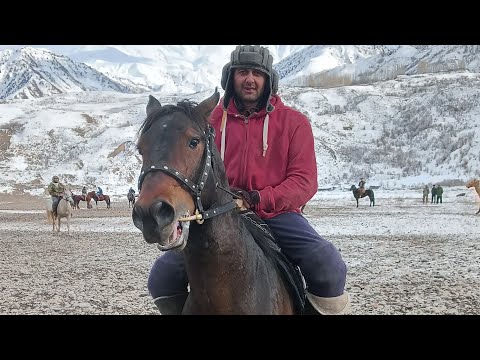 Видео: 22 января 2023 г.шукруло човандоз исмат човандоз Рамазон човандоз Хамид човандоз