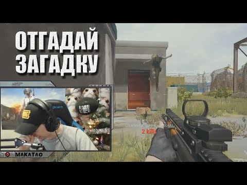 Видео: Макичу загадали загадку / Чьё кунг-фу круче / Неработающая сайга // MakataO дуо с BULLSEYE #11