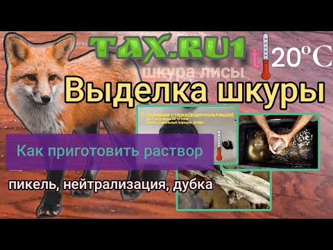 Видео: Раствор для выделки шкур Выделка шкуры лисы
