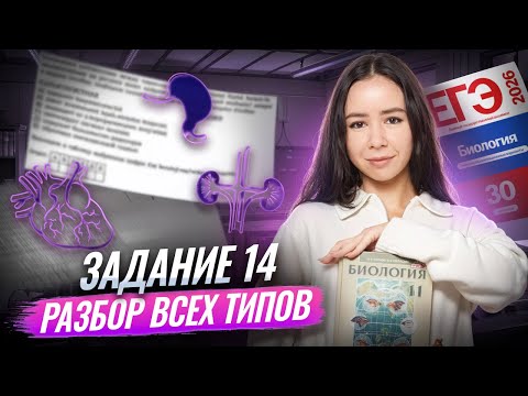 Видео: Все типы задания 14 с НУЛЯ для ЕГЭ по биологии 2026 | Умскул