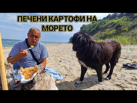 Видео: Печени картофи с краве масло на морето! Райско кътче до Варна! Морски емоции с гладен приятел!