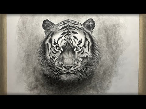 Видео: Cómo dibujar un Tigre (Panthera tigris) realista|paso o paso|Рисуем Tигра|Tigre