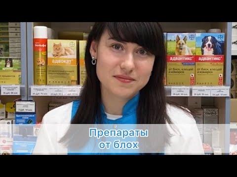 Видео: Препараты от блох