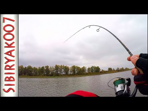 Видео: Вот это Рыбина! Тут таких не было! .. Рыбалка осенью на малой реке | Лёгкий джиг