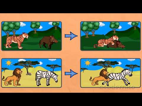 Видео: Хранене на животните - Човекът и природата 4 клас | academico