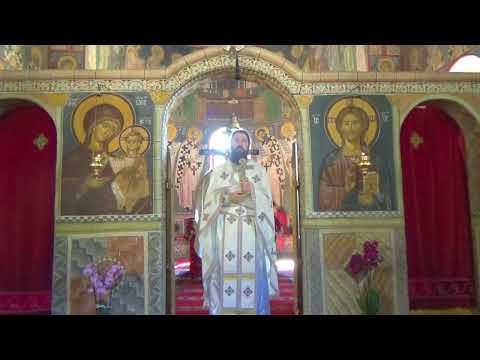 Видео: 2022 07 03 Недеља трећа по Педесетници - о. Јоаким