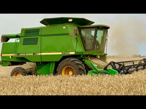 Видео: 🇺🇦Жнива 2024 без Ахілеса😰Нікому збирати ХЛІБ❗️Немає кому працювати