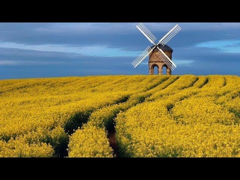 Видео: Мельницы в уме (Windmills of your mind)