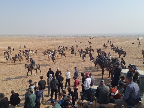 Видео: БАНДИХОНДА КУПКАРИ 19.11.2025