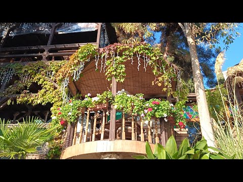 Видео: Алушта сегодня 2025/Набережная Профессорского уголка в октябре. 🌅🌴(часть1) /20.10.25.