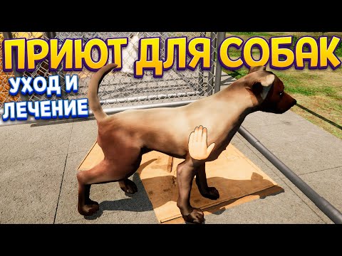 Видео: НАШ ПРИЮТ ДЛЯ СОБАК ( Animal Shelter )