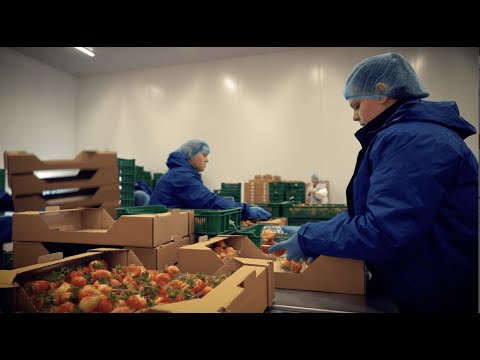 Видео: 8 выпуск. Изготовление йогурта.