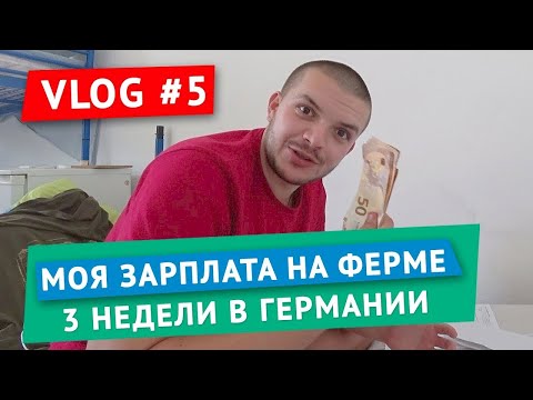 Видео: Сколько я заработал на ферме в Германии за 3 недели  Орест влог №5