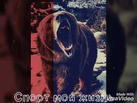 Видео: Жаш куч