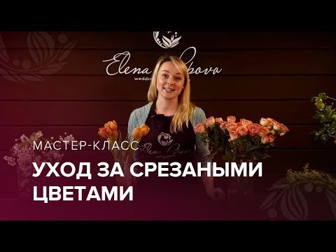 Видео: Уход за срезанными цветами ⎥ Как сохранить букет?