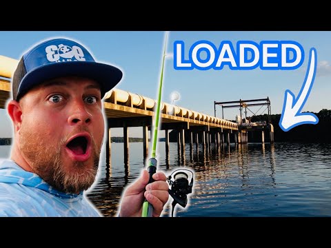 Видео: Эти места полны крупного осеннего краппи‼️ Рыбалка на краппи 2025‼️