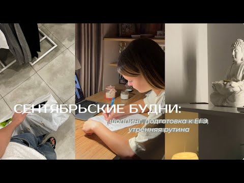 Видео: VLOG/ Будни 11 классницы: шоппинг, подготовка к ЕГЭ, утрянняя рутина