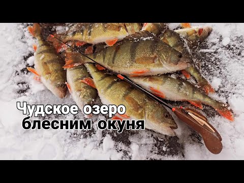 Видео: Рыбалка на Чудском  озере.Блесним окуня в конце февраля./ Asaru cope Peipusa ezerā