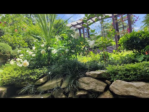 Видео: ИДЕМ В ГОСТИ, В  КРАСИВЫЙ САД!